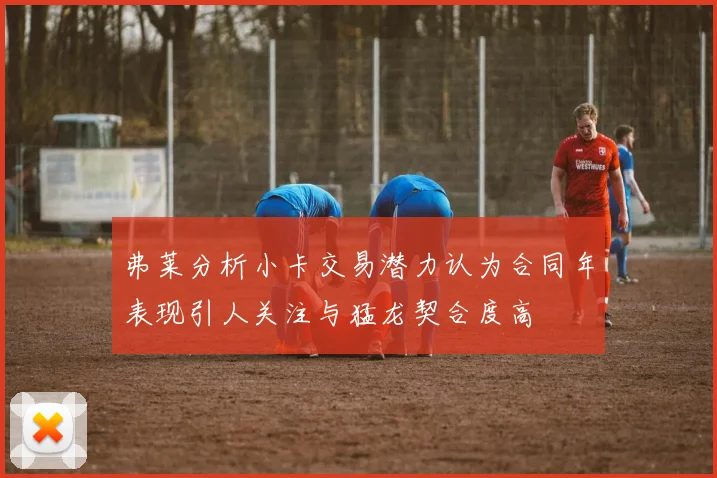 弗莱分析小卡交易潜力认为合同年表现引人关注与猛龙契合度高